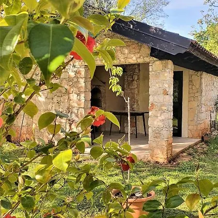 House Nono Bepo In Small Istrian Village Brtonigla Exterior photo