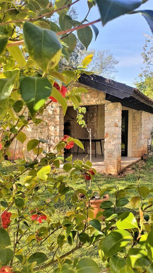 House Nono Bepo In Small Istrian Village *